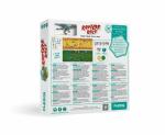 FlexiQ Denkspiel Raptor Race