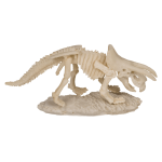 OOTB Ausgrabungsset Dinosaurier Skelett