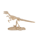 OOTB Ausgrabungsset Dinosaurier Skelett