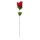 OOTB Rose mit rotem G-String ca. 43 cm