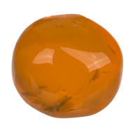 Durchsichtige Spring-Knete, ca. 15 g,