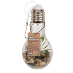 OOTB Glas-Glühlampe mit Metallaufhängung