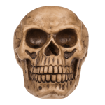 OOTB Totenkopf-Organizer mit Brillenhalter und