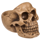 OOTB Totenkopf-Organizer mit Brillenhalter und