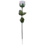 OOTB Weiße Rose mit farbwechselnder LED