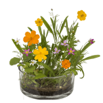 OOTB Blumensamen Blumenwiese mit gepresster Erde