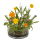 OOTB Blumensamen Blumenwiese mit gepresster Erde