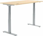 Schreibtisch FLEX MODUL, T-Fuß-Gestell in...