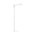 LED-Standleuchte MAULjura, Diffusor für geringen...