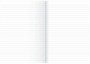 Kanzleibogen, Lineatur 21, liniert, 80g/qm, gefalzt DIN A3 auf DIN A4, 250 Bogen, weiß