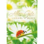 Kurt Eulzer Grußkarte Midi Alles Gute und viel...