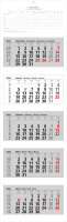2026 ADINA Fünfmonatskalender 110x33cm mit...