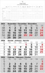 2026 ADINA Dreimonatskalender 49x30cm mit Tagesanzeiger,...