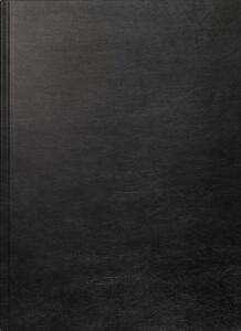 2026 Brunnen Buchkalender 787 A4 sw