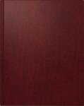 2026 Rido Buchkalender Managerkalender TM 205×260...