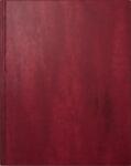 2026 Rido Buchkalender Managerkalender TM 205×260...