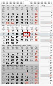 2026 Rido 4-Monatskalender grau 300×490 mm