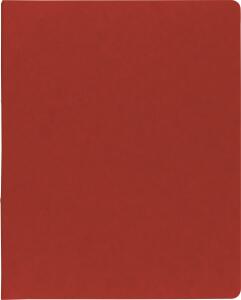 BRUNNEN Ringbuch A4 FACT!plus 2-Ringe 15mm rot 106550924