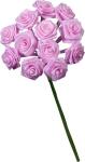 KNORR PRANDELL 216547222 Diorrose 10 x 15 cm rosa