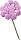 KNORR PRANDELL 216547222 Diorrose 10 x 15 cm rosa