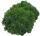 KNORR PRANDELL 216695469 Islandmoos Naturmoos gefärbt tannengrün