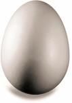 KNORR PRANDELL 216768024 Styropor-Ei 6 x 45 cm Styropor...