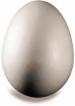 KNORR PRANDELL 216769063 Styropor-Ei 10 x 6 cm Styropor...