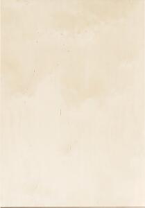 KNORR PRANDELL Sperrholz-Zuschnitt 21 x 30 x 04 cm Birkenholz