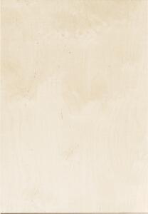 KNORR PRANDELL 216888127 Sperrholz-Zuschnitt 21 x 30 x 03 cm Birkenholz