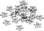 KNORR PRANDELL 218022048 Spiegelblumen Ø 12 cm...