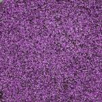 KNORR PRANDELL 218236707 Farbsand 01 - 05 mm aubergine