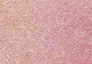 KNORR PRANDELL 218438240 Formfilz 30 x 45 x 01 cm 100 % violett skose rosa
