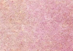 KNORR PRANDELL 218438240 Formfilz 30 x 45 x 0,1 cm 100 % Viskose rosa