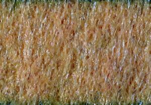 KNORR PRANDELL Polyesterfilz 30 x 45 x 03 cm 100 % Polyester gelb
