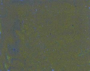 WACO 219004610 Acrylmattfarbe FIN ocker