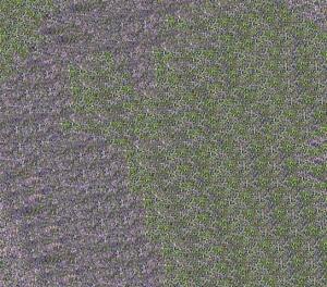 WACO 219004734 Acrylmattfarbe FIN ochsenblut