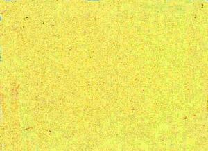 WACO 219011803 Acrylmattfarbe FIN elfenbein
