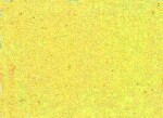 WACO 219011803 Acrylmattfarbe FIN elfenbein