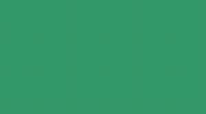 KNORR-PRANDELL WACO Carpet Color 50ml grün 219139940