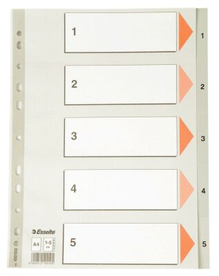 LEITZ Register A4 15 grau PP FolieDeckblatt aus Kartonmit folien