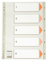 LEITZ Register A4 15 grau PP FolieDeckblatt aus Kartonmit...