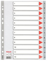LEITZ Register A4 112 grau PP FolieDeckblatt aus...