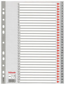 LEITZ Register A4 131 grau PP FolieDeckblatt aus Kartonmit folien