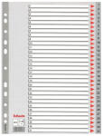 LEITZ Register A4 131 grau PP FolieDeckblatt aus...