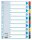 LEITZ Register A4 110 160 g/m2 Karton weiß mit buntenTaben D