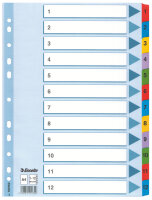 LEITZ Register A4 112 weiß 100162 Karton fbg.Tabs