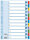 LEITZ Register A4 112 weiß 100162 Karton fbg.Tabs