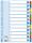 LEITZ Register A4 112 weiß 100162 Karton fbg.Tabs