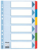 LEITZ Register A4 6 Blatt blanco 160 g/m2 Karton...