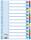 ESSELTE Karton-Register blanko A4 12-teilig mehrfarbig (3310016900
